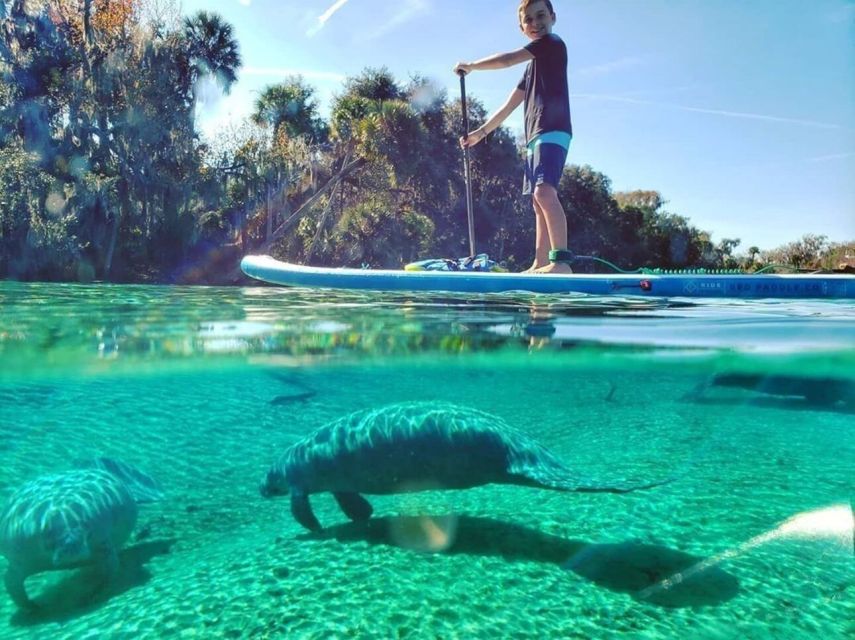 North Miami: Nature & Island Exploration on SUP/Kayak - SUP or kayak: which one suits you better?