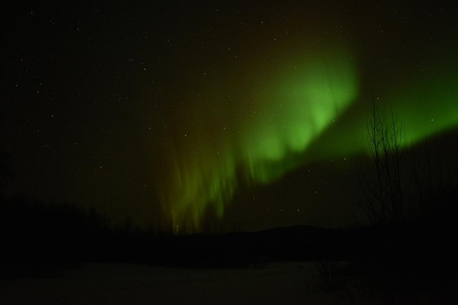 Northern Lights & Arctic Circle Tour - The Arctic Circle edge at Mile 115, plus that 66°33 North moment
