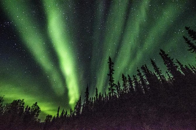 Northern Lights & Arctic Circle Tour - Northern lights chasing at Tolovana River and Wickersham Dome