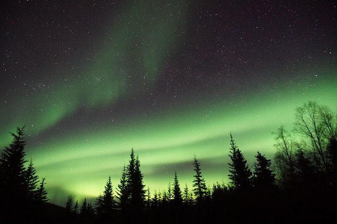 Northern Lights & Arctic Circle Tour - Food, warmth, and comfort in a capped 8-person van