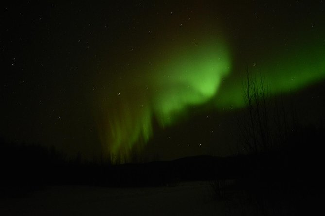 Northern Lights & Arctic Circle Tour - Pipeline Stop and EL Patton Bridge: why the drive has built-in drama