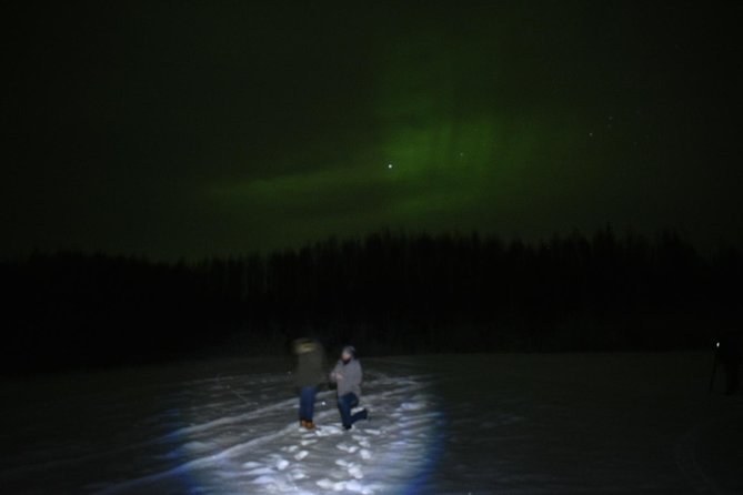 Northern Lights & Chena Hot Springs Tour - Key things to know before you go