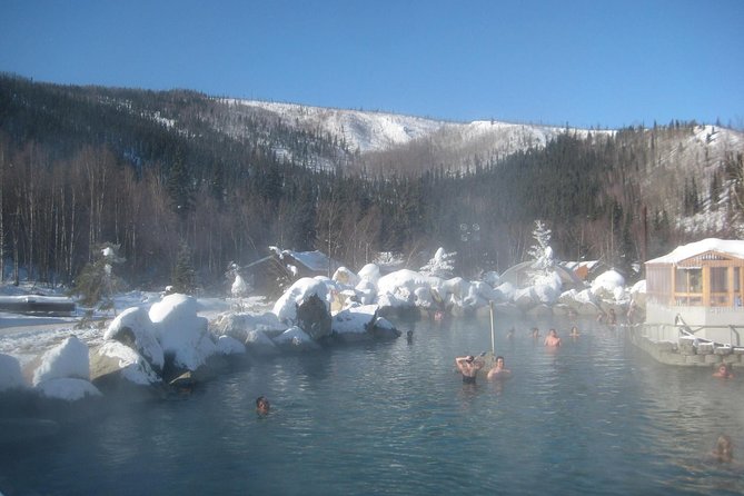 Northern Lights & Chena Hot Springs Tour - Northern lights viewing: best chances, safe pull-outs, warm backup