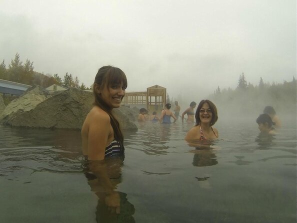 Northern Lights & Chena Hot Springs Tour - Price and value at $250: what you’re paying for