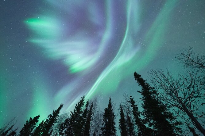 Northern Lights Viewing at Murphy Dome - Key things to know before you go