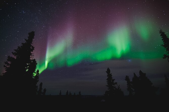 Northern Lights Viewing at Murphy Dome - Photography help: getting shots when the lights move fast