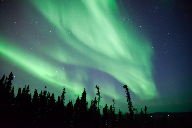 Northern Lights Viewing at Murphy Dome - Price and value: $120 for a managed aurora night