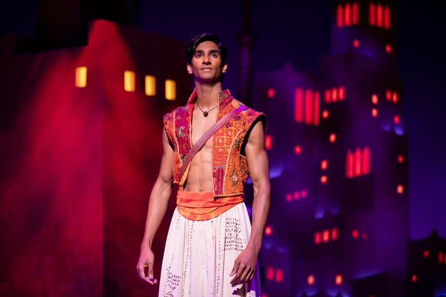 NYC: Aladdin the Musical on Broadway - Audience fit: who will enjoy this most