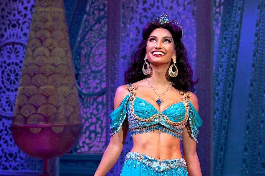 NYC: Aladdin the Musical on Broadway - Tickets and value: what you actually pay for