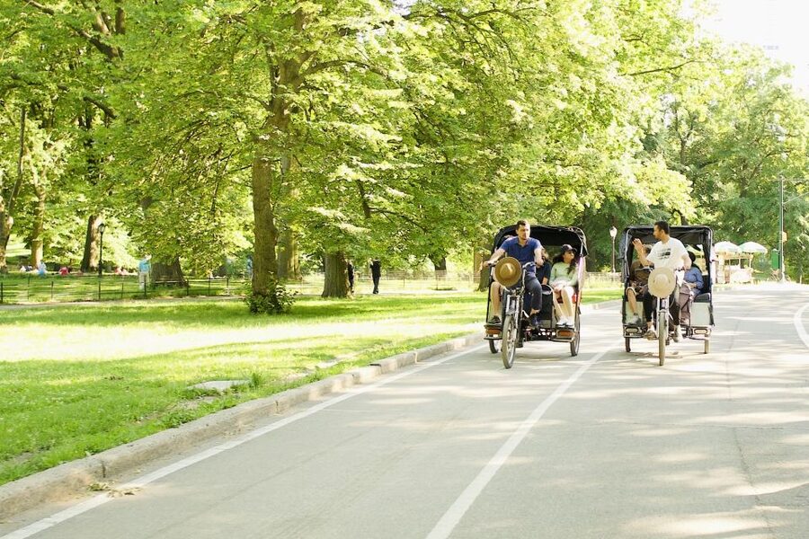 NYC: Central Park Celebrity Homes & Film Spots Pedicab Tour - The Mall, Cherry Hill, and the Bridges: A Route Built for Stopping