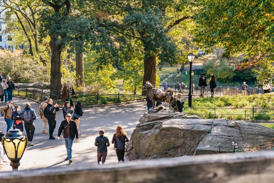 NYC: Central Park Guided Pedicab Tour - The route: Central Park highlights, photo stops, and what each stop feels like