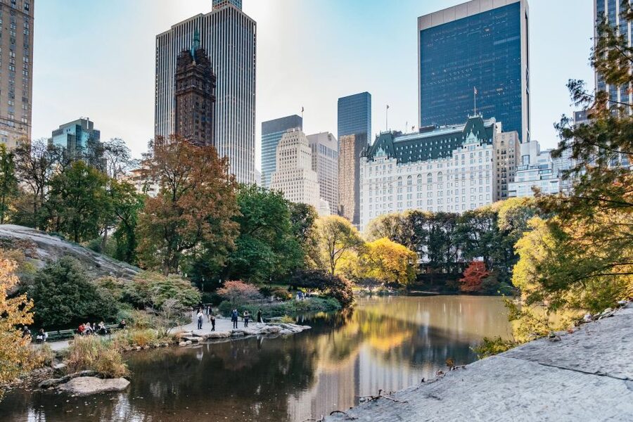 NYC: Central Park Guided Pedicab Tour - Movie magic: Home Alone 2, Elf, Spiderman, and the filming-spot hunt