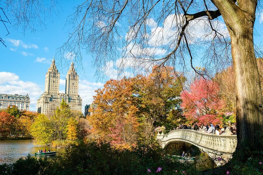 NYC: Central Park Pedicab Tour with Photo Stops - The in-between sights: Turtle Pond, Cherry Hill Fountain, the Lake, and more