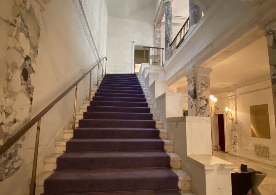 NYC: Gilded Age Mansions Guided Tour - Your Guide Matters, and It Shows
