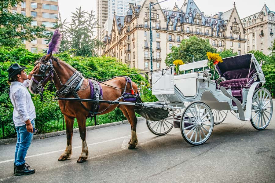 NYC: Guided Central Park Horse Carriage Ride - Key highlights