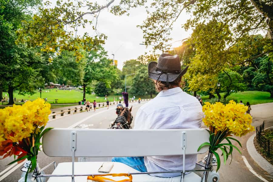 NYC: Guided Central Park Horse Carriage Ride - What the ride feels like in Central Park