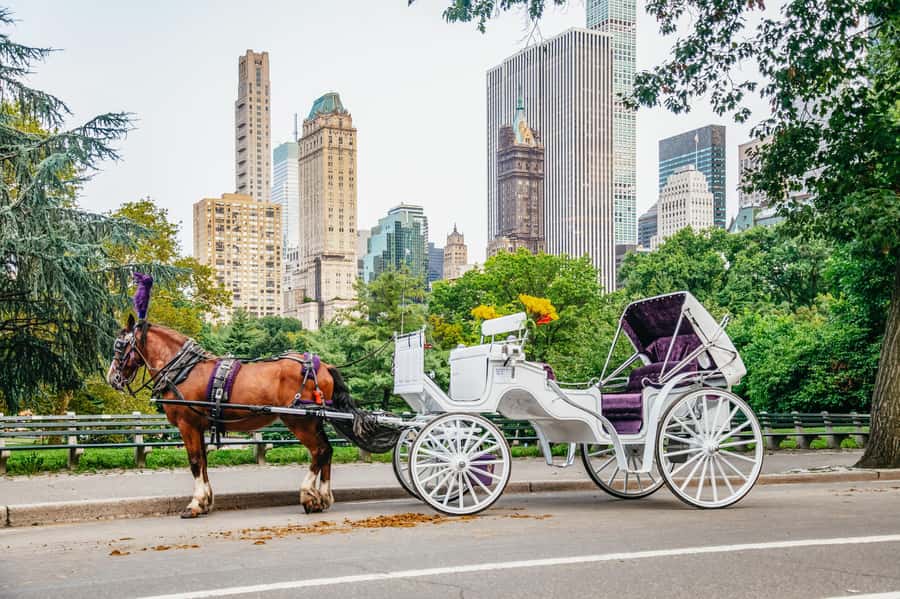 NYC: Guided Central Park Horse Carriage Ride - Bethesda Fountain and Cherry Hill, your two scheduled photo stops