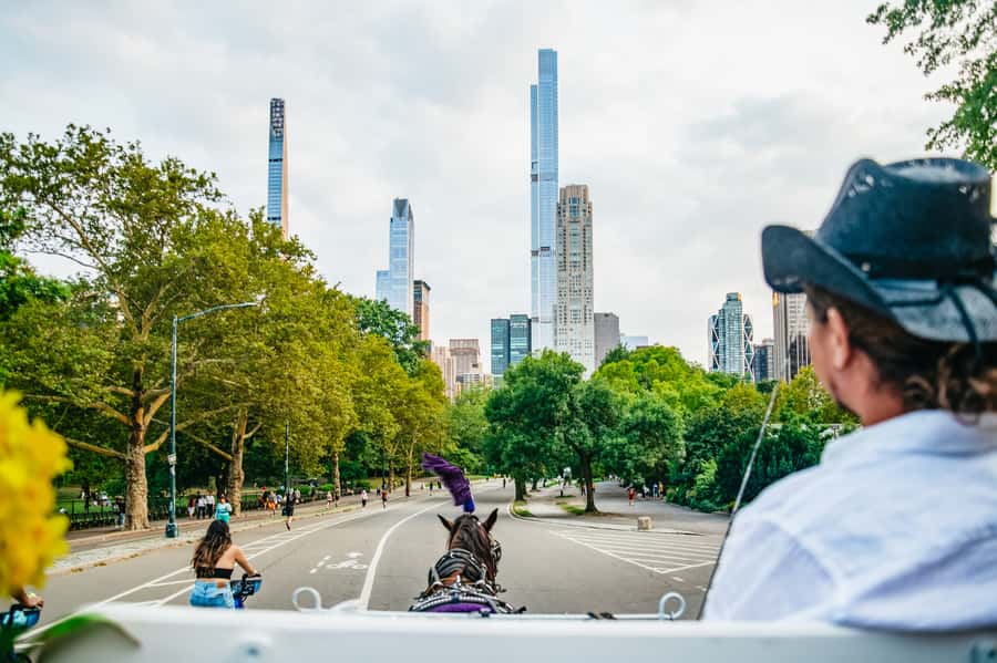 NYC: Guided Central Park Horse Carriage Ride - Pace and duration: 40 to 55 minutes, and why it matters