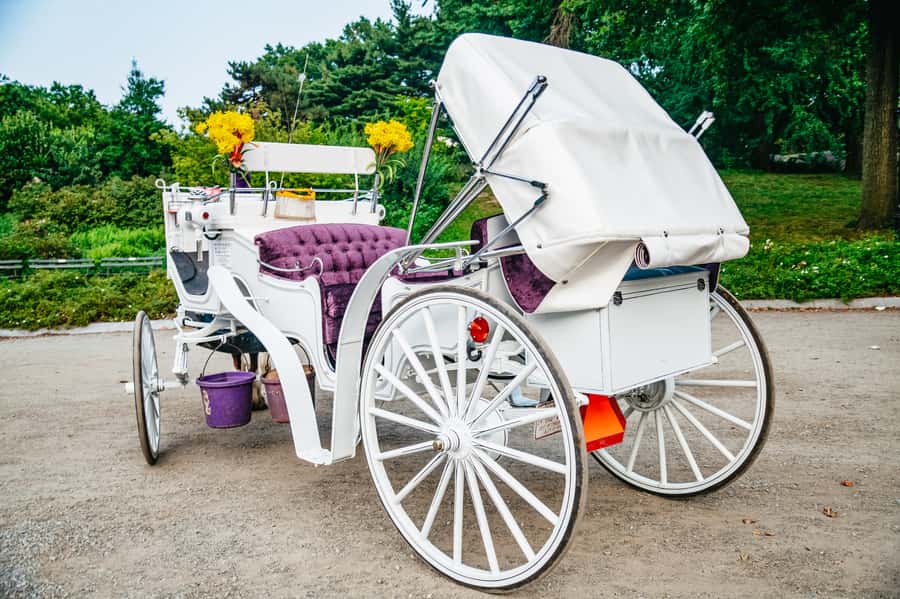 NYC: Guided Central Park Horse Carriage Ride - Photo, weather, and comfort: the real NYC variables