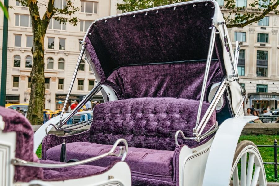 NYC: Guided Central Park Horse Carriage Ride - Horse care, feeding, and respectful moments