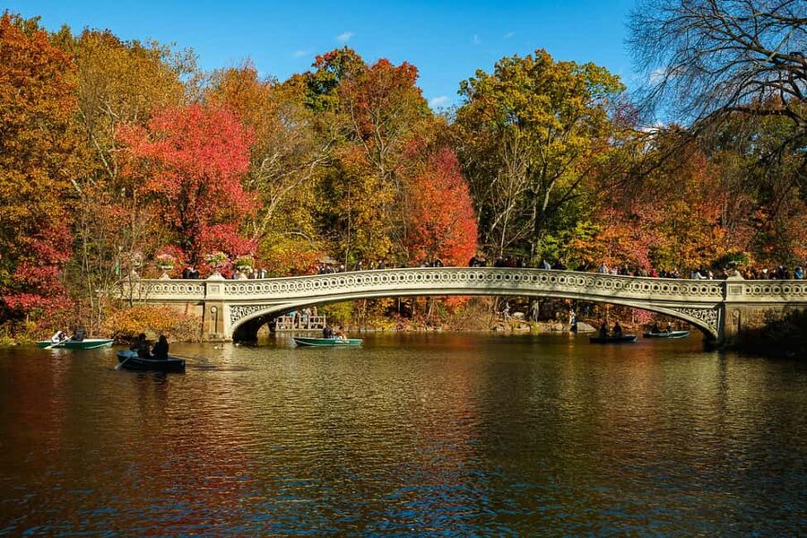 NYC: Guided Central Park Private Pedicab Tour - The Bethesda Terrace and Fountain Stop That People Remember