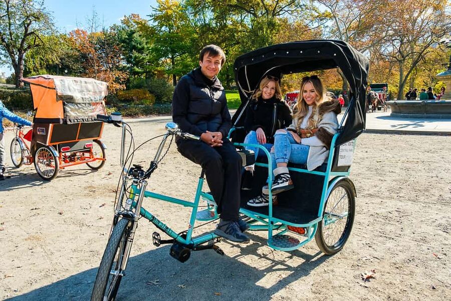 NYC: Guided Central Park Private Pedicab Tour - Pond, Wollman Rink, and Sheep Meadow: Parks That Feel Like NYC Worlds