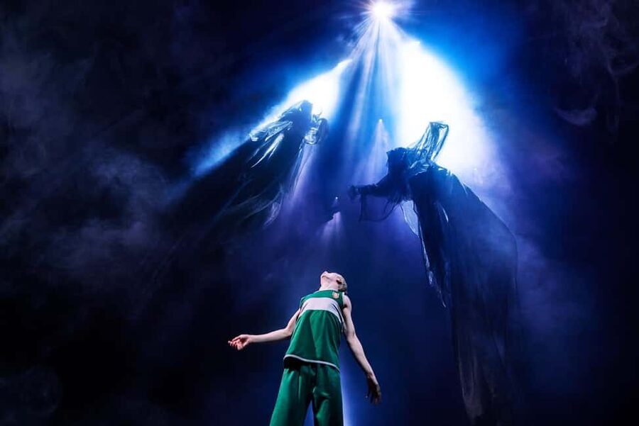 NYC: Harry Potter and the Cursed Child on Broadway - Your 3.5 hours inside the theater (with real limits)