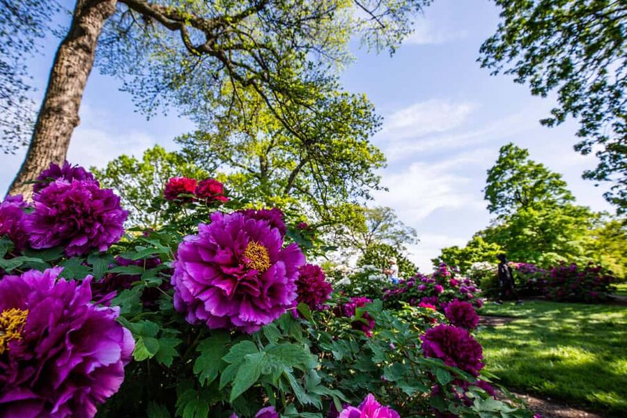 NYC: New York Botanical Garden Pass - Food and drinks: plan for the budget before you get hungry