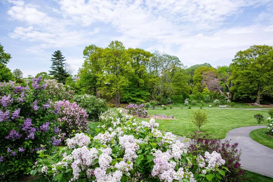 NYC: New York Botanical Garden Pass - Indoor break that still feels botanical: Haupt Conservatory and the Mertz Library