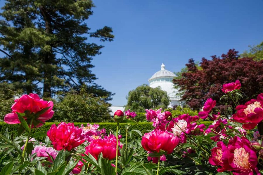 NYC: New York Botanical Garden Pass - The 250 acres part: how to navigate 50 gardens like a pro