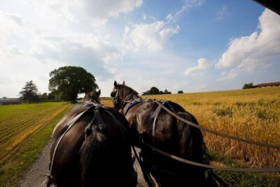 Philadelphia, Washington DC & Amish Country 2-Day Tour