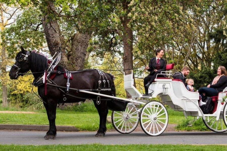 NYC: Private Central Park Horse Carriage Ride with Guide - Central Park South Meeting Point, Then You Are Moving in Minutes