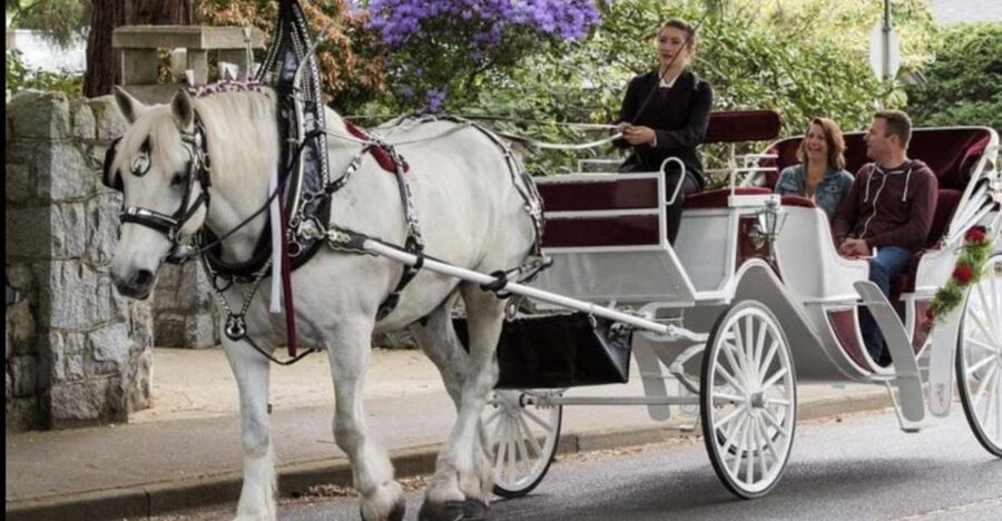 NYC: Private Central Park Horse Carriage Ride with Guide - Winter Comfort: Blankets, Calm Rescheduling, and Warm Carriage Time
