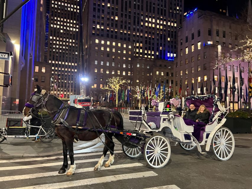 NYC: Private Central Park Horse Carriage Ride with Guide - The Guide Factor: Stories, Humor, and Better Understanding