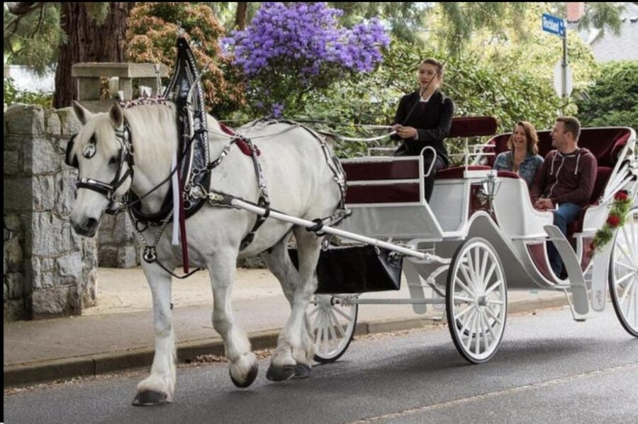 NYC: Private Central Park Horse Carriage Ride with Guide - Central Park Landmarks: Carousel, Bethesda Terrace, and More