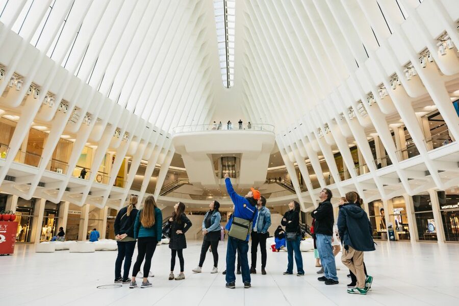 NYC: Wall Street Tour with 9/11 Memorial and Statue Ferry - Ellis Island optional add-on, but don’t let it steal your focus