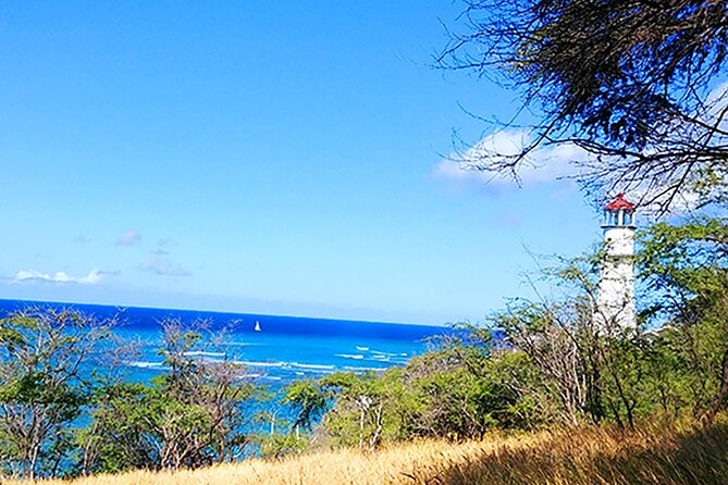 Oahu: All Day Circle Island Tour with Snorkeling - Morning Logistics: Pickup Times Start Early, and That Sets the Tempo