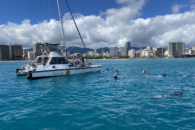 Oahu Catamaran Snorkel Tour: See Turtles 100% Guaranteed - Turtle Canyon Reef, the snorkeling stop that drives the whole day