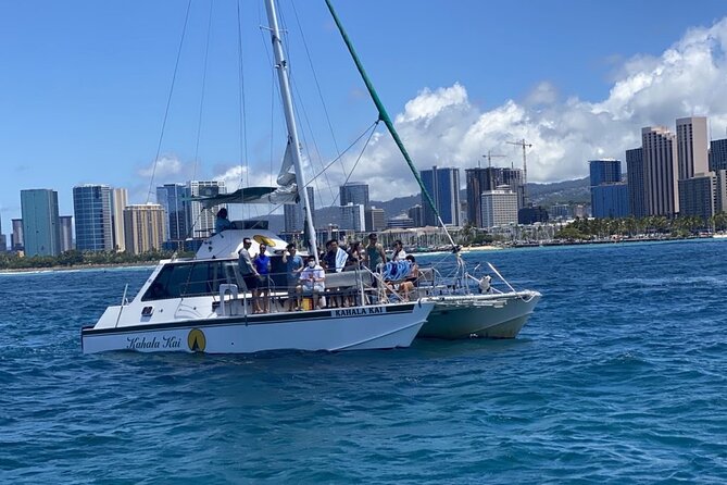 Oahu Catamaran Snorkel Tour: See Turtles 100% Guaranteed - The 100% turtle sighting promise, and how the crew manages it