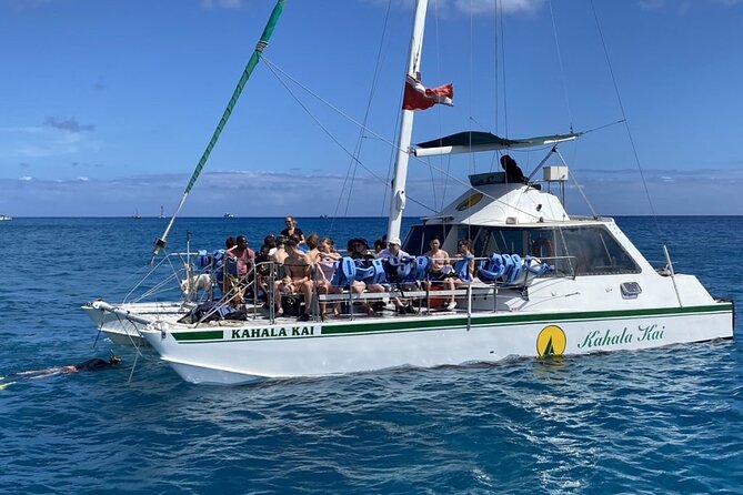 Oahu Catamaran Snorkel Tour: See Turtles 100% Guaranteed - More than turtles: dolphins, whales, monk seals, and a few surprises