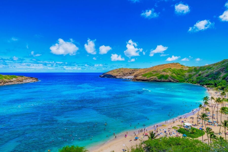 Oahu: Circle Island Top Sights Full-Day Tour w/ Local Guide - Key highlights you will feel all day