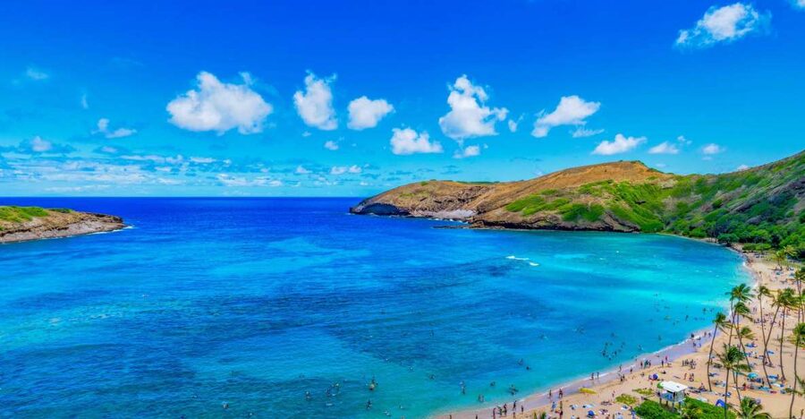 Oahu: Circle Island Top Sights Full-Day Tour w/ Local Guide - A smooth way to do Oahu’s circle island in one shot