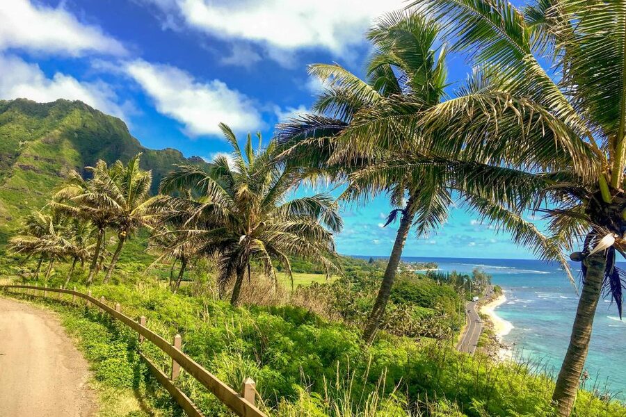 Oahu: Circle Island Top Sights Full-Day Tour w/ Local Guide - Byodo-In Temple: a calm walk with gardens, koi, and Japanese heritage