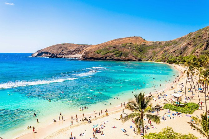 Oahu Circle Island Tour - Starting In Waikiki: The Big Advantage Is Not Renting a Car