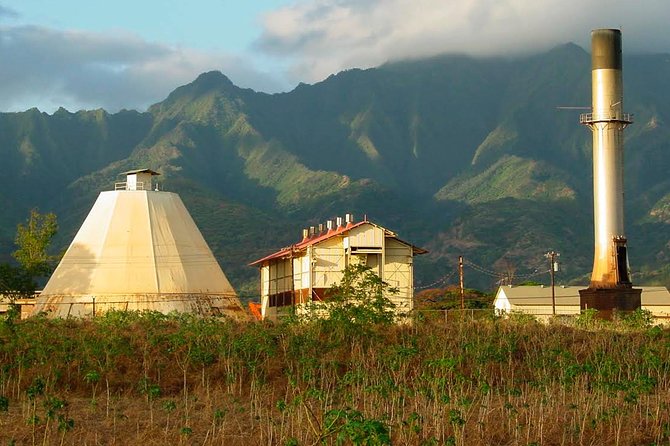 Oahu Circle Island Tour - Kahuku Farms And Lunch Time: Fruit, Snacks, And A Vegan-Friendly Note
