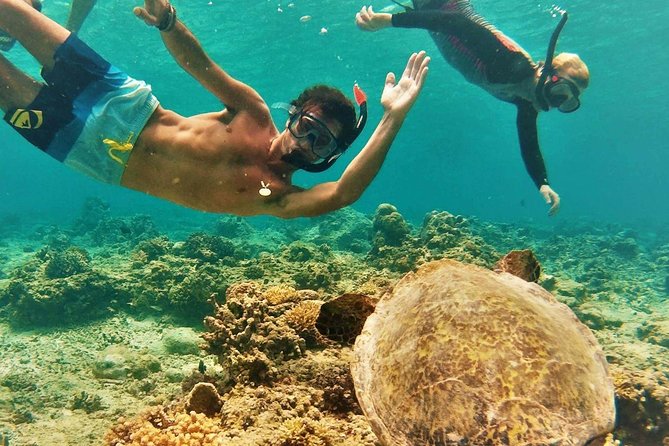 Oahu Circle Island Tour with Turtle Snorkeling— Small-Groups - How the Waikiki pickup sets you up for a smooth circle tour
