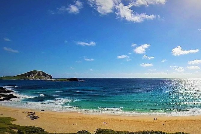 Oahu Circle Island Tour with Turtle Snorkeling— Small-Groups - Turtle Town snorkeling: how to maximize your chances with honu
