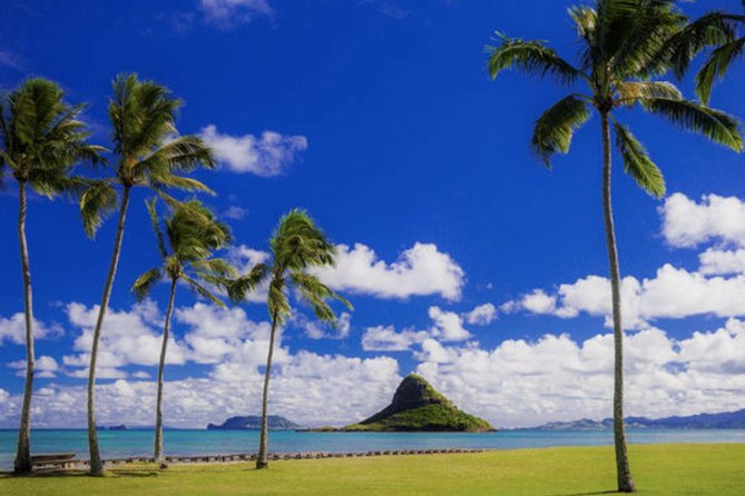 Oahu Circle Island Tour with Waimea Waterfall - North Shore Food Stops, Sunset Beach, and Surf Icons