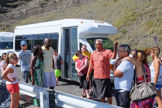 Oahu Circle Island Tour with Waimea Waterfall - Dole Plantation, Pearl Harbor Views, and Downtown Honolulu Stops