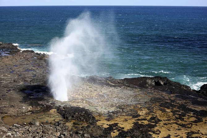 Oahu Circle Island Tour with Waimea Waterfall - Price and Logistics: Is $154 Good Value for This Full Day?
